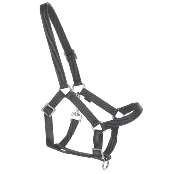 Helga Kreft "Halster Voor Tuinpaarden, Zwart." 1 Helga Kreft "Halster Voor Tuinpaarden, Zwart."