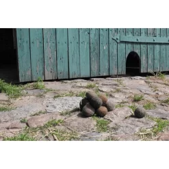 Helga Kreft Paardenuitwerpselen Speelset -Kinderen Buitenspeelgoed helga kreft paardenuitwerpselen speelset a292625 3