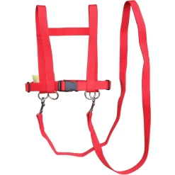 Helga Kreft Zügelmatz Paardenriem, Rood 6 Helga Kreft Zügelmatz Paardenriem, Rood -Kinderen Buitenspeelgoed helga kreft zuegelmatz paardenriem rood a334306 2