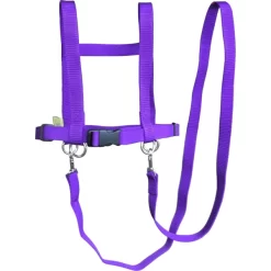 Helga Kreft Zügelmatz Paardenspeellijn, Paars -Kinderen Buitenspeelgoed helga kreft zuegelmatz paardenspeellijn paars a334333 2