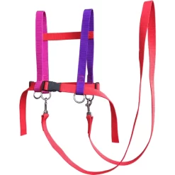 Helga Kreft Zügelmatz® Paardenspeellijn, Rood Gekleurd -Kinderen Buitenspeelgoed helga kreft zuegelmatz paardenspeellijn rood gekleurd a334335 2