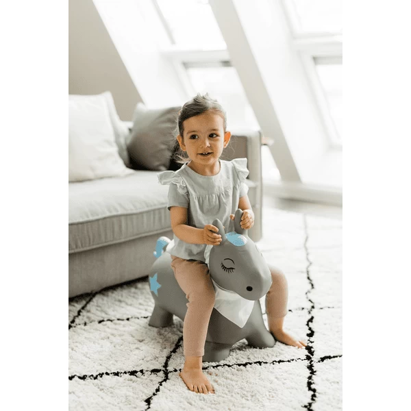 KINDSGUT Springbeest Pony 2 KINDSGUT Springbeest Pony - Afbeelding 2