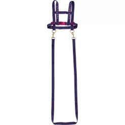 SPIEGELBURG COPPENRATH Paard Leiband Paardenvrienden